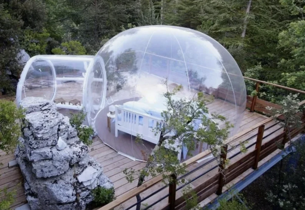 innovative transparent bubble tents