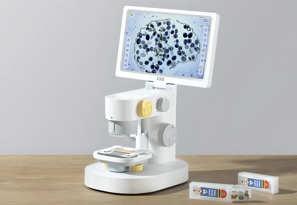 microscope with stand