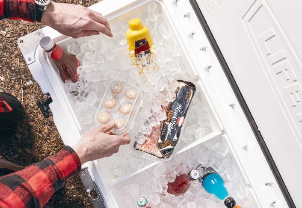 plastic picnic ice cooler box