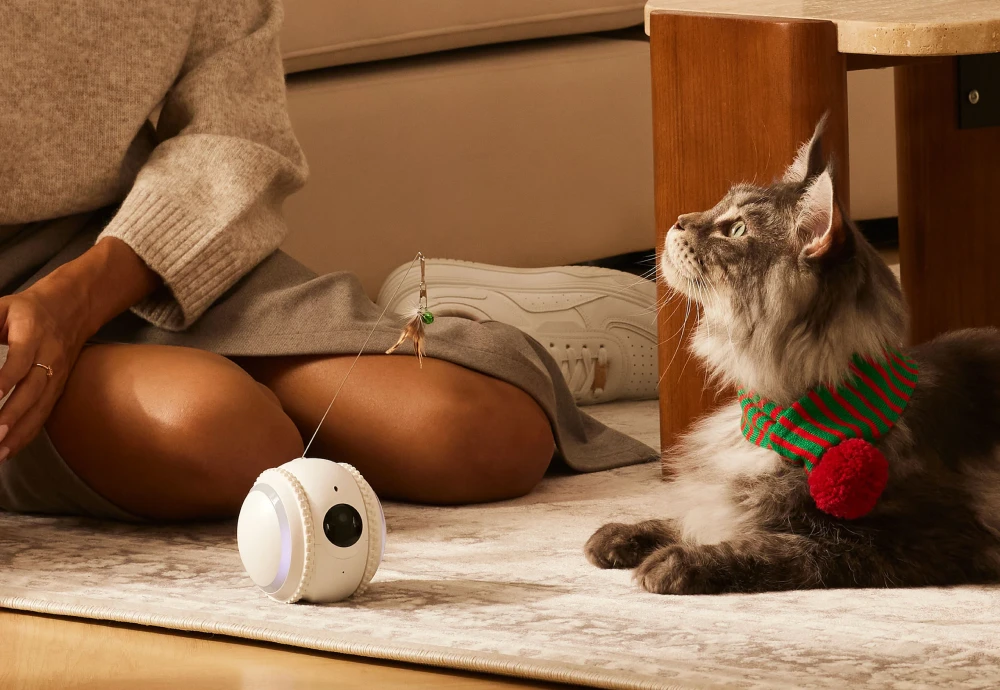 wireless pet camera system