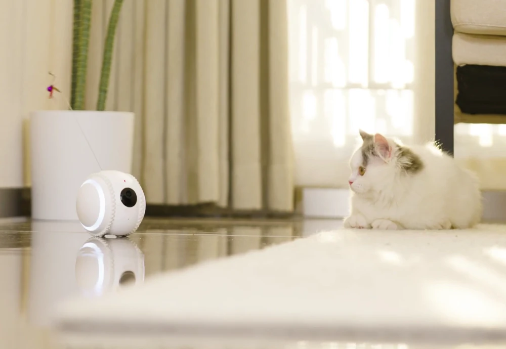 camera to watch pets