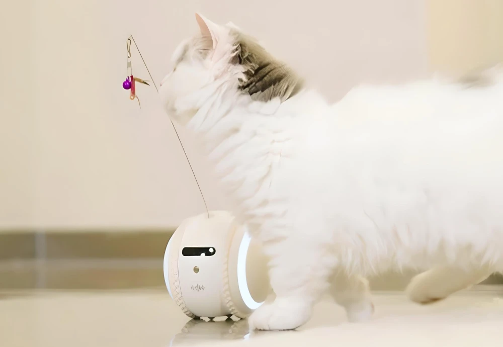 best indoor camera for watching pets