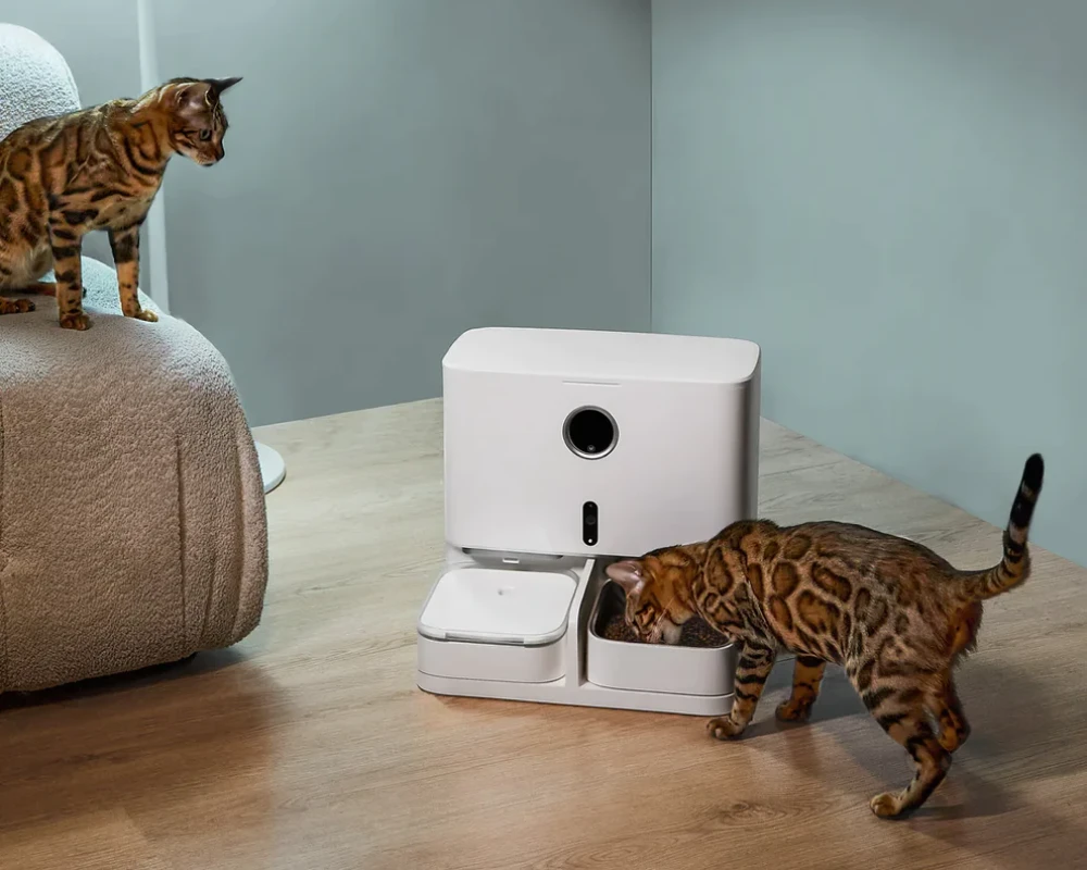 automatic pet feeder for multiple cats