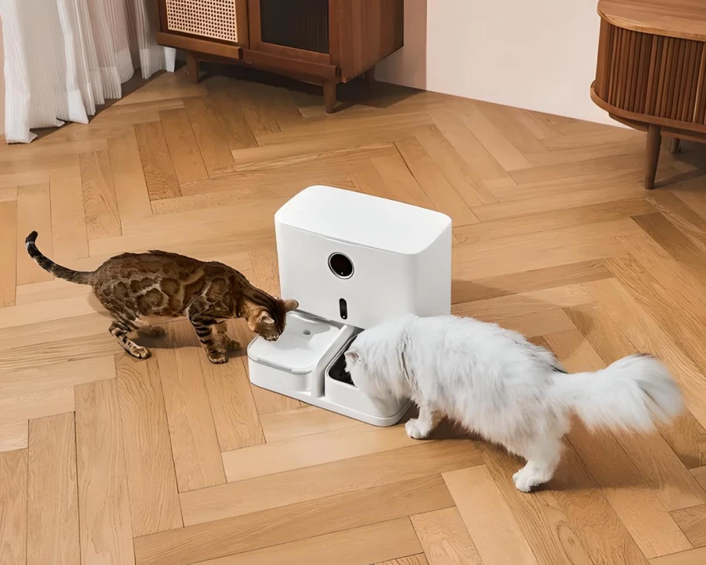 automatic pet feeding system