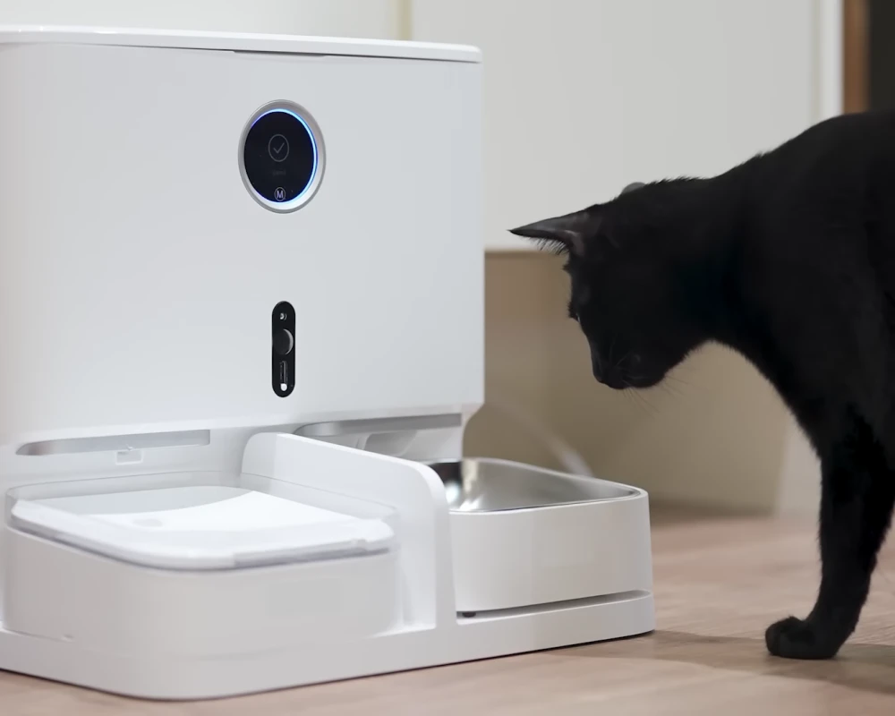 automatic pet bowl feeder